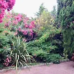 Proche Plages Juan Les Pins Petit Studio Dans Villa