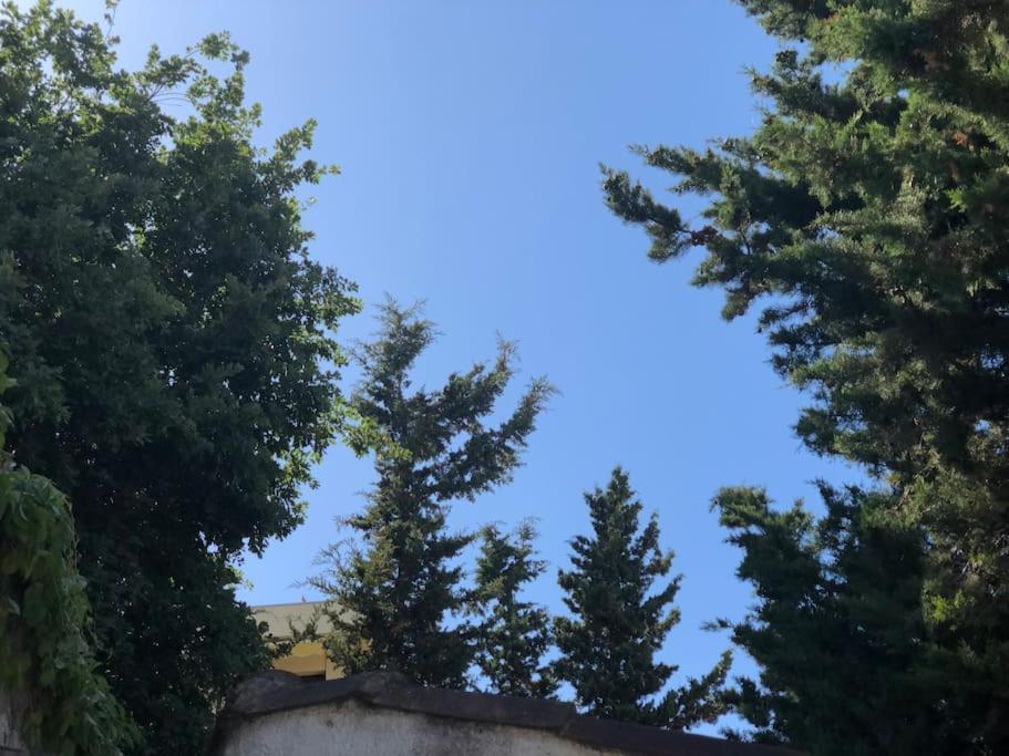 Appartement Proche Plages Juan Les Pins Petit Dans Antibes